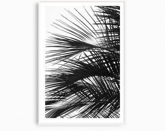 Large palm tree wall art, minimalist palm tree photograph. Oversized black and white photography print, tropical coastal decor