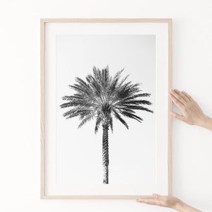 Palm tree photography print, black and white fine art photograph, large minimalist wall art, contemporary oversized photo for tropical decor image 2