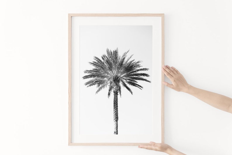 Palm tree photography print, black and white fine art photograph, large minimalist wall art, contemporary oversized photo for tropical decor image 2