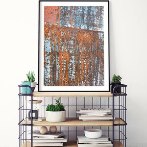 May include: A framed print of an abstract rusty metal surface with shades of orange, blue, and gray. The print is displayed on a black metal shelf with wooden shelves, books, and plants.