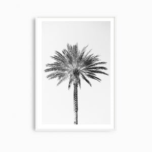 Palm tree photography print, black and white fine art photograph, large minimalist wall art, contemporary oversized photo for tropical decor image 1