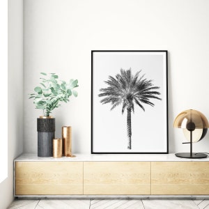 Palm tree photography print, black and white fine art photograph, large minimalist wall art, contemporary oversized photo for tropical decor image 5