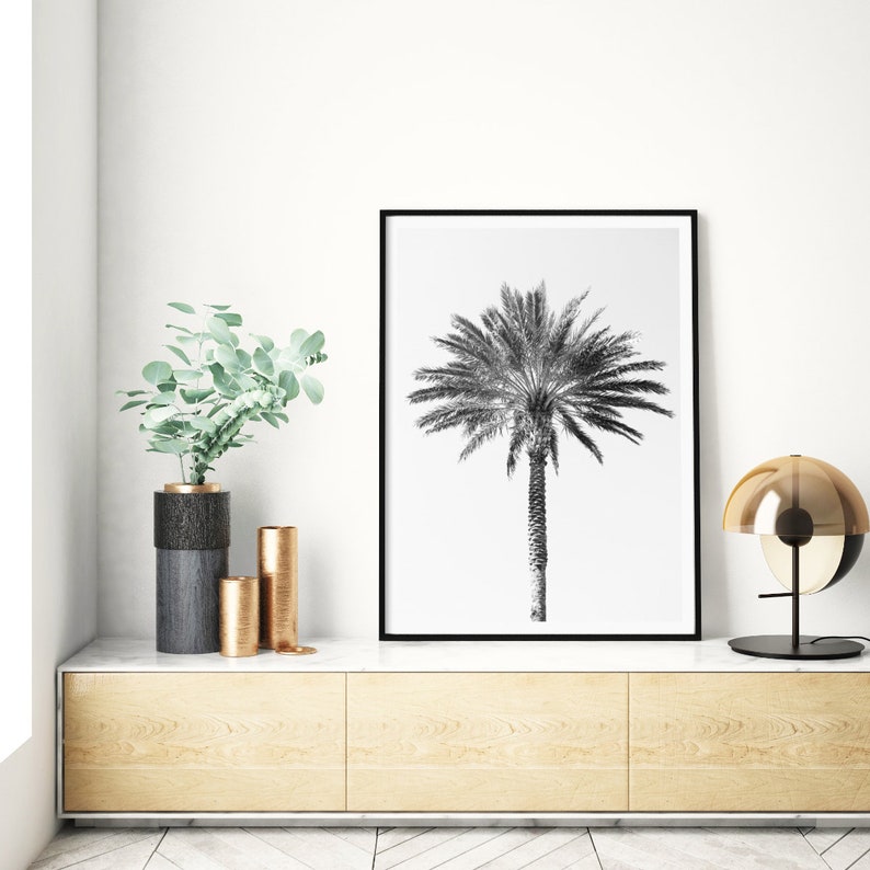 Palm tree photography print, black and white fine art photograph, large minimalist wall art, contemporary oversized photo for tropical decor image 5