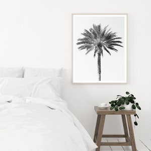 Palm tree photography print, black and white fine art photograph, large minimalist wall art, contemporary oversized photo for tropical decor image 7