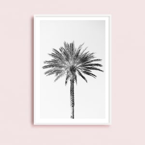 Palm tree photography print, black and white fine art photograph, large minimalist wall art, contemporary oversized photo for tropical decor image 8