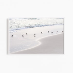 Sanderlings Beach Print: Minimalist Coastal Photography, Neutral Wall Art