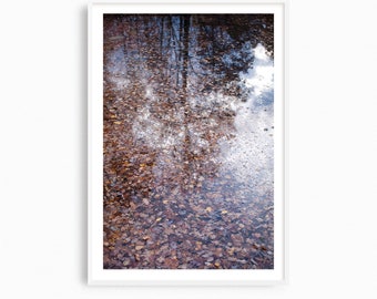 Contemporary photography print, woodland wall art, natural interior decor, autumn art print, fall leaves artwork, lake reflection photograph