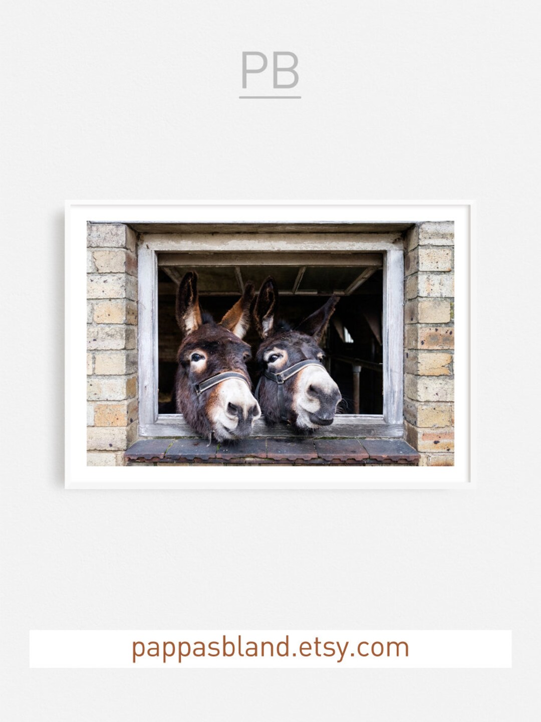 Large Donkeys Art Print Donkeys Wall Art Equine Art Fine Etsy
