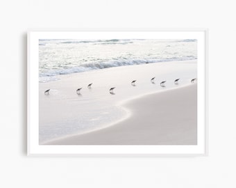 Sandpiper art, framed minimalist beach photograph, ready to hang neutral coastal wall art. Sanderlings photography print, framed coastal art