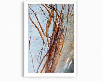 Abstract Rust Photography Print: Industrial Steampunk Wall Art