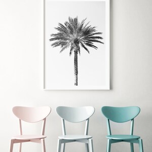 Palm tree photography print, black and white fine art photograph, large minimalist wall art, contemporary oversized photo for tropical decor image 6