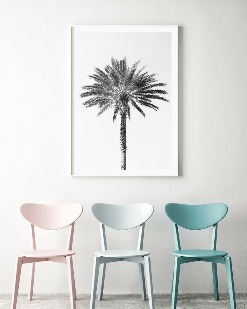 Palm tree photography print, black and white fine art photograph, large minimalist wall art, contemporary oversized photo for tropical decor image 6