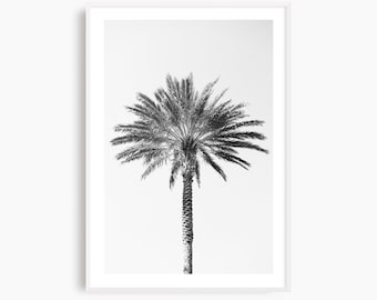 Framed palm tree photography print, black and white fine art photograph, large minimalist wall art, ready to hang tropical decor