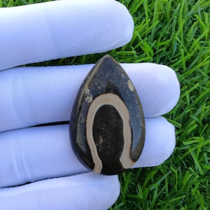 Colus Fossil Agate Cabochon, Hand Polished Pear Shape Gemstone Panded Making Stone.