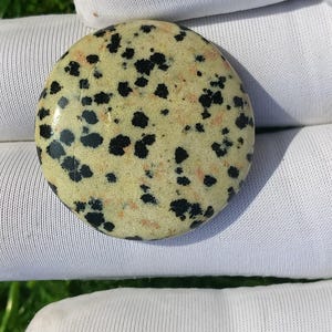 May include: A round, polished stone with a light yellow base color and numerous black and reddish-brown spots. The stone is smooth and appears to be a natural material, possibly a gemstone or decorative element. The stone is held by a person wearing white gloves.