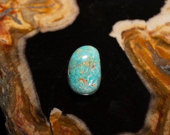 Rare High Grade Lander Nevada Blue Turquoise Cabochon 11ct - Hand-Cut Gemstone with Free Display Box for Jewelers and Collectors, USA Mined