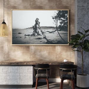 Fotografía de árboles en blanco y negro con un toque melancólico: descarga directa de fotografía artística