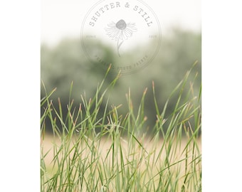 May include: A vertical photograph showing a close-up of green grass blades, with a blurred background of green foliage and a light sky. The image includes a circular logo that reads "SHUTTER & STILL" and "PEACEFUL PHOTO PRINTS."