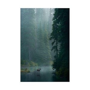 Matte Vertical Posters