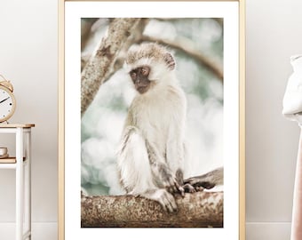 Aap in een boom poster, schattige aap print, grijze vacht dierlijke kunst, kinderkamer wanddecoratie, exclusieve fotografie-print