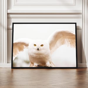 Hedwig Poster – Snow-Colored Owl Photography Print with Wings Spread, Elegant Wildlife Wall Art for Living Room, Bedroom, or Office