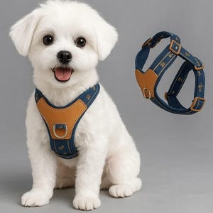 Adjustable Y-Shaped Dog Harness: Leather & Fabric No-Pull Walking Vest