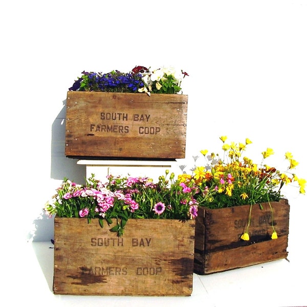Vintage Wooden Crate Rustic Flower Planter Box 1960s