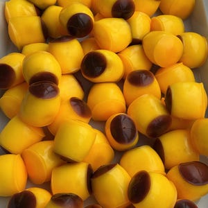 Puede incluir: Una colección de pequeños recipientes de plástico redondeados de color amarillo brillante, cada uno con una inserción circular lisa de color marrón oscuro en un lado. Estas unidades individuales están agrupadas en una bandeja blanca.
