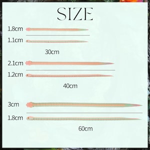 May include: A size chart titled SIZE displaying six long, slender, textured snake-like objects in peach and green tones. The chart lists lengths of 30cm, 40cm, and 60cm, with corresponding widths ranging from 1.1cm to 3cm for each item.