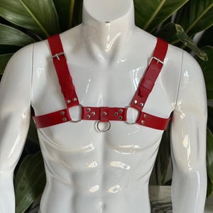 May include: A red leather chest harness with silver-colored metal hardware. The harness features adjustable straps, buckles, and metal rings. The design includes a central ring and decorative rivets. The harness is displayed on a white mannequin.