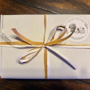 Bunny Gift Box | Organic Forage Mix, Chews & Treats for Rabbits, Guinea Pigs, Chinchillas | Bunny in Blush image 5
