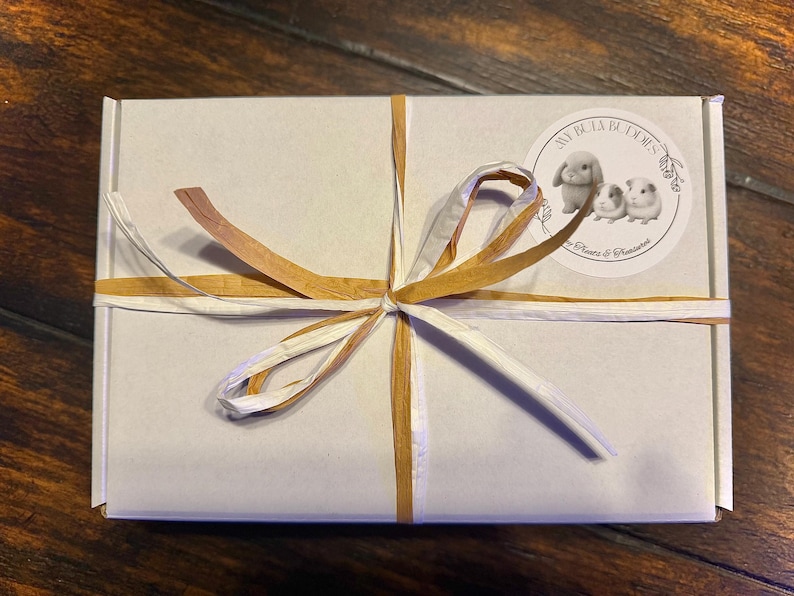 Bunny Gift Box | Organic Forage Mix, Chews & Treats for Rabbits, Guinea Pigs, Chinchillas | Bunny in Blush image 5