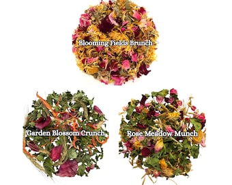 Forage Mix Bundle for Small Pets | 3-Pack Rabbit & Guinea Pig Enrichment Sampler