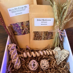 Tiny Treasures Gift Box for Hamsters, Gerbils, Mice & Small Pets | Small Pet Toys, Forage Mix, Treats