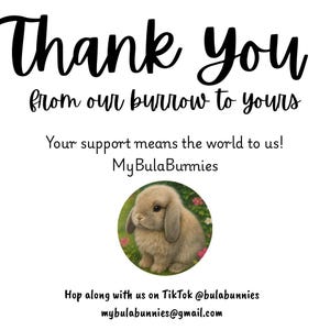 Bunny Gift Box | Organic Forage Mix, Chews & Treats for Rabbits, Guinea Pigs, Chinchillas | Bunny in Blush image 6
