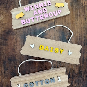 Personalized Pet Name Sign | Custom Bunny or Guinea Pig Plaque | Small Animal Name Sign | Rustic Wood Decor | Handmade Sign