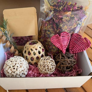 Bunny Gift Box | Organic Forage Mix, New Chews & Enrichment | Bunny in Blush – 2nd Edition