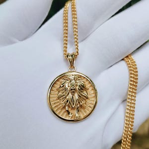 14k Gold Lion Head Medallion Pendant - Sterling Silver Lion Necklace