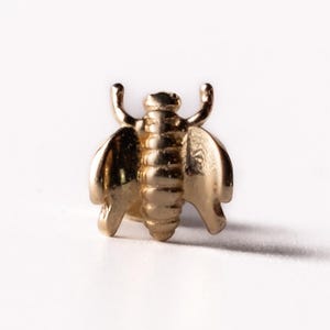 14K Solid Gold Bee Stud Earring • Dainty Cartilage / Helix Piercing • Single Flat Back • Sterilized & Hypoallergenic