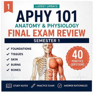 Op de afbeelding: Een vierkante studiegidsomslag met de titel APHY 101 ANATOMY & PHYSIOLOGY FINAL EXAM REVIEW SEMESTER 1. Het bevat een illustratie van een gespleten menselijke romp met het skelet- en spierstelsel, 40 oefenvragen en studieaantekeningen.