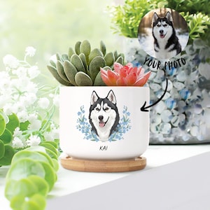 May include: A white ceramic planter with a painted portrait of a black and white husky dog, surrounded by blue flowers. The planter holds a succulent plant with green and red leaves, and sits on a wooden coaster. The text "KAI" is below the dog portrait.