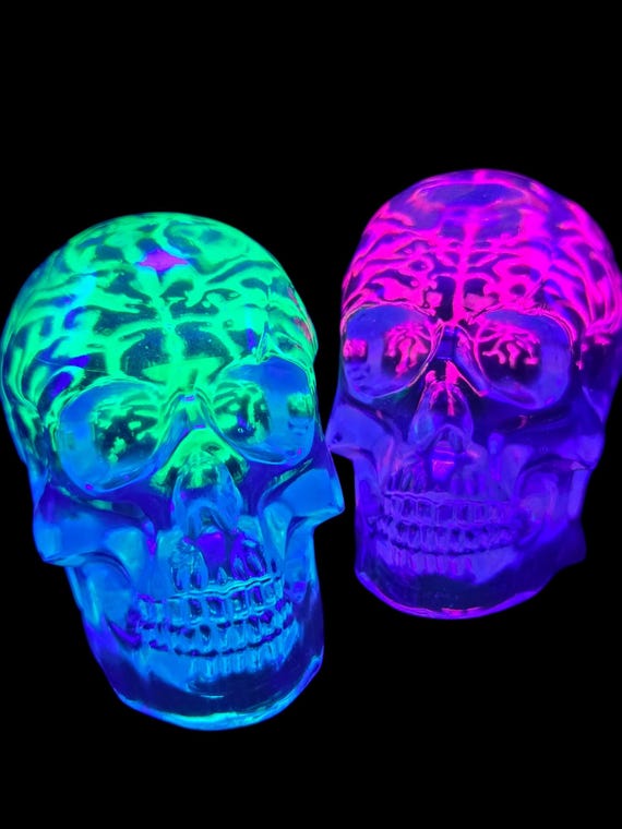 NEON FALLOUT Skull - UV Blacklight Reactive Brain in a Crystal Clear Resin Skull
