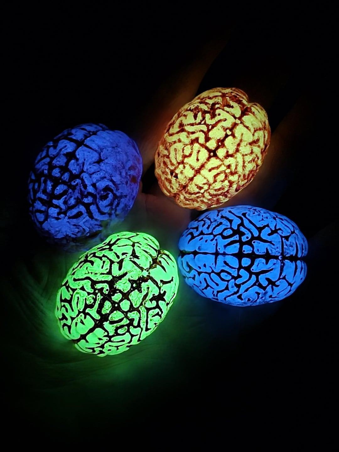 Brain Shape Insert 1 - Glow-in-the-dark Resin Brain - Anatomical Insert for Resin Crystal ...