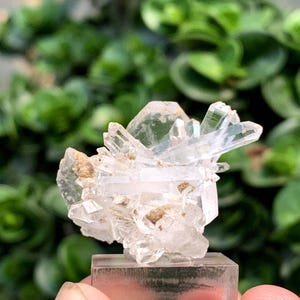 Natural Clear Quartz Crystal Cluster with Faden Formation – Skardu, Pakistan