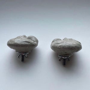 K&ouml;nnte beinhalten: Zwei graue, pilzf&ouml;rmige Schrankkn&ouml;pfe mit strukturierten Oberfl&auml;chen. Jeder Knopf hat eine Metallschraube und eine Fl&uuml;gelmutter zur Befestigung. Die Kn&ouml;pfe bestehen aus einem betonartigen Material.