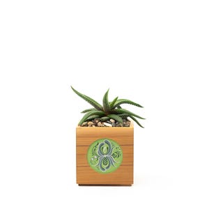 Small Deco Cedar Succulent Planter | Modern form w/ traditional Norwegian rosemaling | Hand-crafted and hand-painted in NE Minneapolis, MN