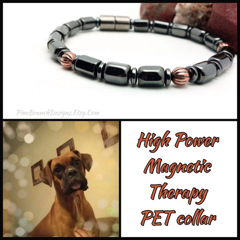 Custom Pet Collar SUPER Power Clasp Etsy