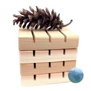 50 Handcrafted Cedar Soap Dishes Natural Rot-Resistant Wood for Soap, Sponges, or Steel Wool – Eco-Friendly Green Wedding Gifts MEDIUM LONG