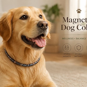 May include: A Golden Retriever wearing a magnetic dog collar. The collar is black and silver. Text on the image reads "Magnetic Dog Collar" with the words "Wellness, Balance, Style" below. Icons indicate strong magnets, durable materials, and comfort fit.
