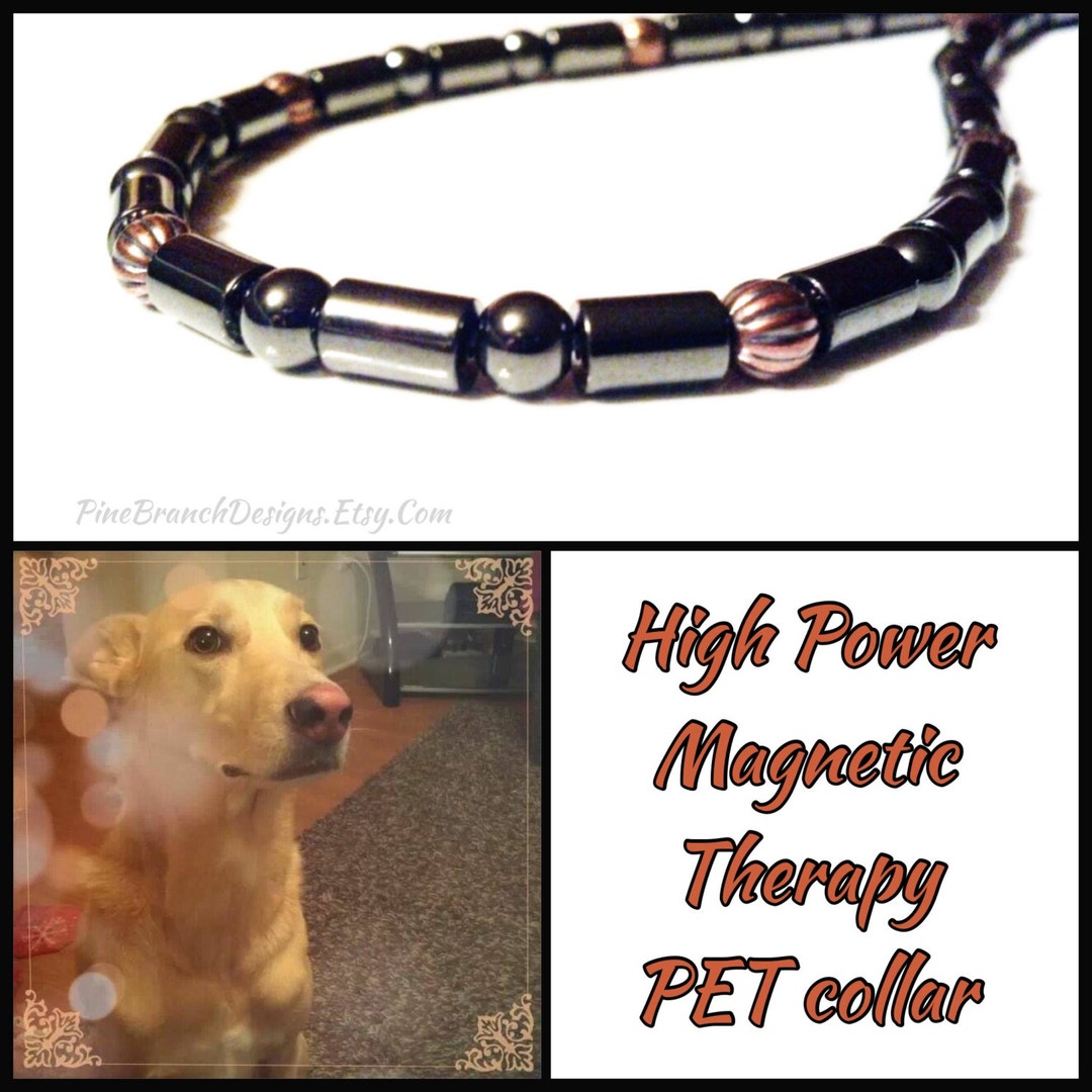 Homeopathic PET Collar Strong Clasp Therapy Hematite and